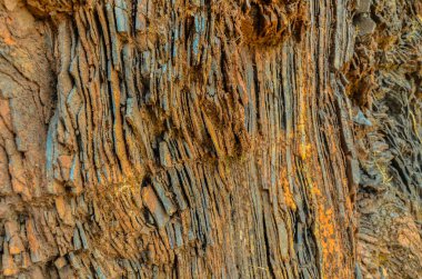 Hindistan 'ın Chikmagalur kentindeki Baba Budangiri dağlarında demir cevheri yatakları var.