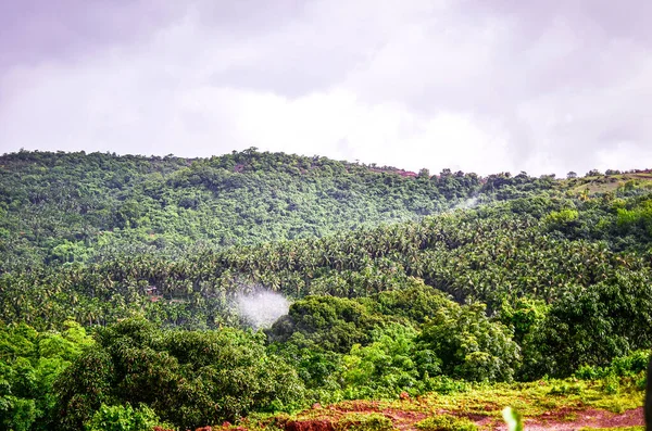 Prachtige Groene Mangalore Scenic Uitzicht Mangalore Rand Van Kodman Hills — Stockfoto