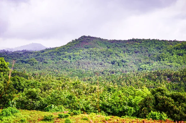 Güzel Yeşil Mangalore Mangalore Kodman Hills Dışındaki Manzarası Hindistan — Stok fotoğraf