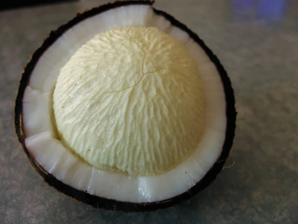 Kiełki Kokosowe Świeże Pyszne — Zdjęcie stockowe