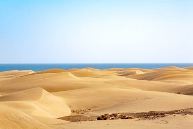 Kum tepeleri, Maspalomalar, Ada Gran Kanaryası, Kanarya Adaları, İspanya, Avrupa