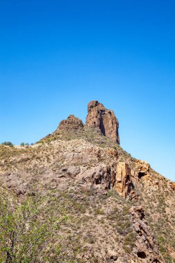 Rock Roque Bentaiga, Ada Gran Kanaryası, Kanarya Adaları, İspanya, Avrupa