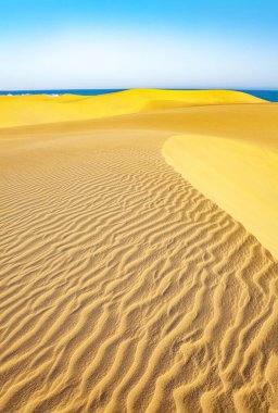 Kum tepeleri, Maspalomalar, Ada Gran Kanaryası, Kanarya Adaları, İspanya, Avrupa