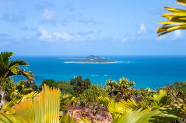 Adaların Kuzeni ve Kuzeni, Praslin, Seyşeller Cumhuriyeti, Afrika.