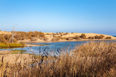La Charca Gölü, Maspalomalar, Gran Kanaryası, Kanarya Adaları, İspanya