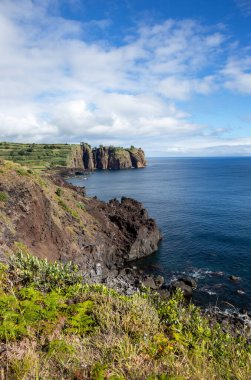 Rock Tromba do Elefante, Fil hortumu, Capelas, Sao Miguel Adası, Azores, Portekiz, Avrupa