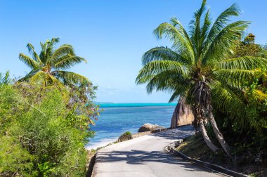 Ada Praslin 'in batısındaki manzara yolu, Seyşeller Cumhuriyeti, Afrika