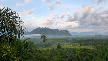 Tropikal ormanlı Ban Ta Khun Dağları, Surat Thani, Tayland, Güneydoğu Asya.  