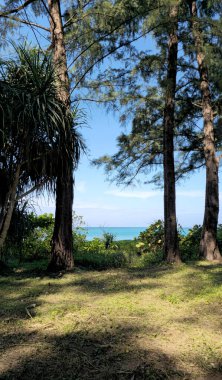 Mavi Andaman Denizi, Mai Khao Sahili, Phuket Adası, Tayland.