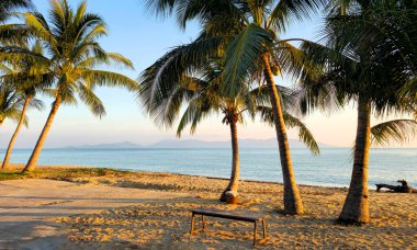 Mae Nam Sahili 'nde palmiye ağaçları ve gün batımında bir bank, Ko Samui Adası, Tayland