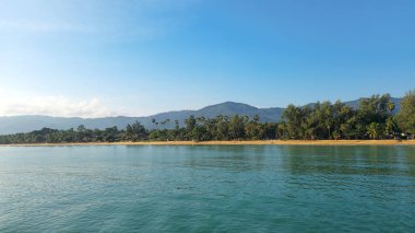 Gün batımında palmiye ağaçları olan Mae Nam Plajı Ko Samui Adası, Surat Thani, Tayland.