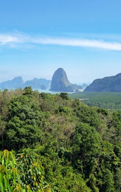 Kireçtaşı karstleri ve tropikal mangrov ormanları olan Phang nga Koyu, Takua Thung, Tayland.
