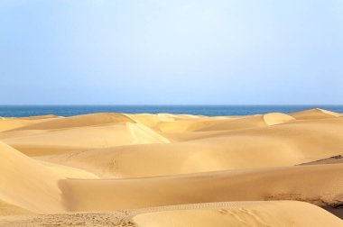 Dunas de Maspalomas, Ada Gran Kanaryası, Kanarya Adaları, İspanya, Avrupa