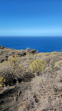 Kanarya Adaları kıyı manzarası Atlantik Okyanusu ve çalılık arazi, El Hierro Adası, Kanarya Adaları, İspanya, Avrupa. Açık bir gökyüzünün altındaki engin mavi Atlantik Okyanusu 'na uzanan sahil ovaları, El Hierro Adası, Kanarya Adaları, İspanya, Avrupa.