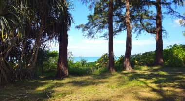 Mavi Andaman Denizi, Mai Khao Sahili, Phuket Adası, Tayland.