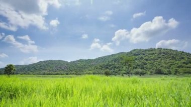 Dağ manzarası güzel bir yeşil alan