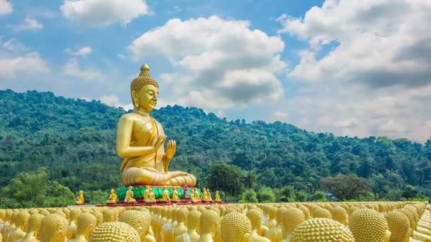 Буддийский мемориальный парк имени Маха Буча — стоковое видео
