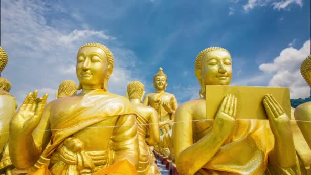 Bucha buddhistischer Gedenkpark — Stockvideo