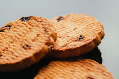 Kuru üzüm yakın çekim karanlık bir arka plan ile taze kurabiye