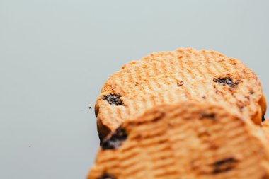 Kuru üzüm yakın çekim karanlık bir arka plan ile taze kurabiye