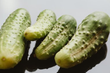 Karanlık bir arka plan üzerinde taze salatalık yakın çekim