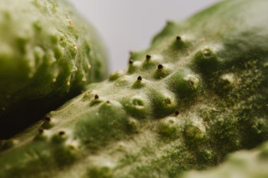 Karanlık bir arka plan üzerinde taze salatalık yakın çekim