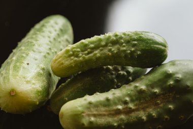Karanlık bir arka plan üzerinde taze salatalık yakın çekim
