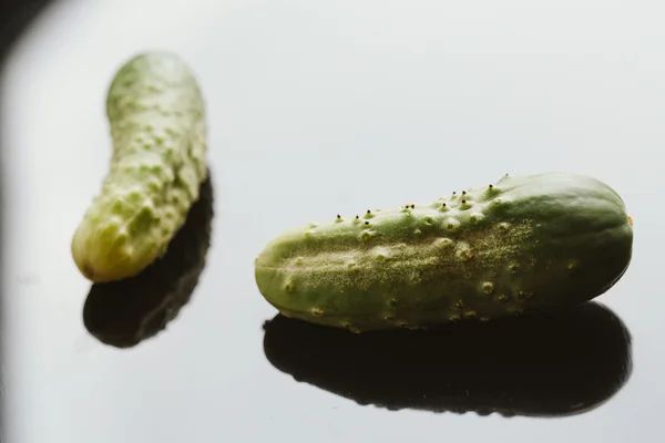 Fresh cucumbers on a dark background close up — Stock Photo, Image