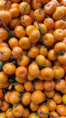 Bal portakalı arka plan. Bal portakalı deseni