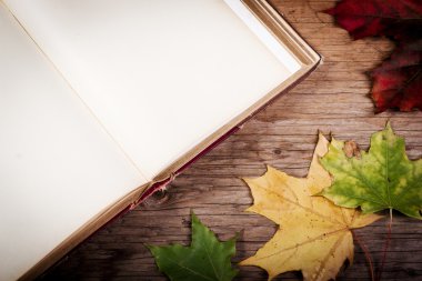 Sonbahar ile ahşap bir masa üzerine eski kitap yaprakları