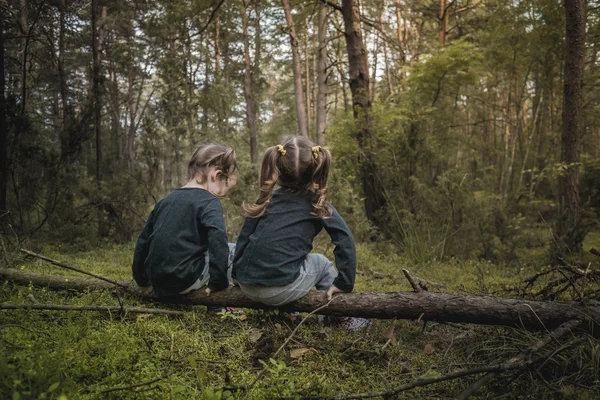 Two girls alone in the forest — Stock Photo, Image