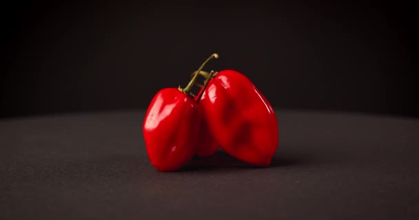 Zeer hete rode habanero peper op een zwarte achtergrond — Stockvideo