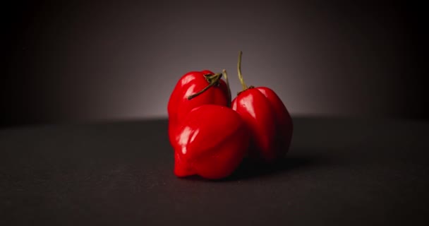 Piment rouge très chaud habanero sur fond noir — Video