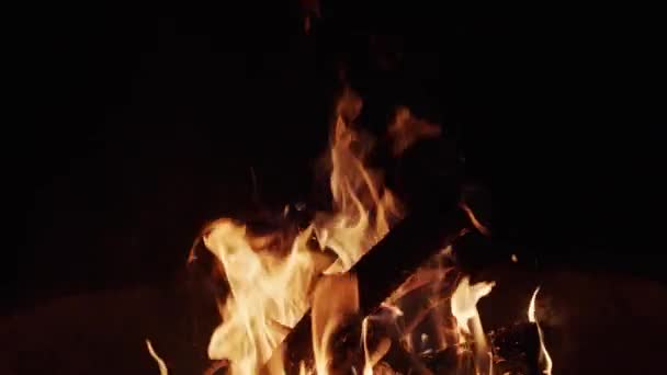 Grote vlammen van een kampvuur 's nachts — Stockvideo