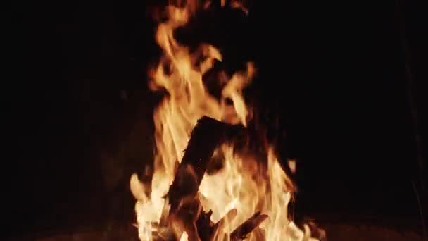 Large flames from a campfire at night — Stock Video