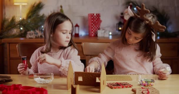 Deux sœurs mignonnes construire et décorer une maison de pain d'épice de Noël — Video