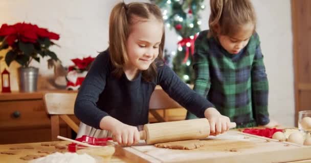 Две милые сестры делают и украшают рождественские пряники — стоковое видео