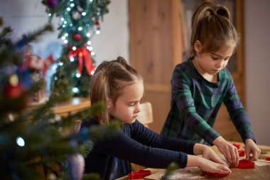 İki tatlı kız kardeş Noel kurabiyesi yapıp süslüyor.
