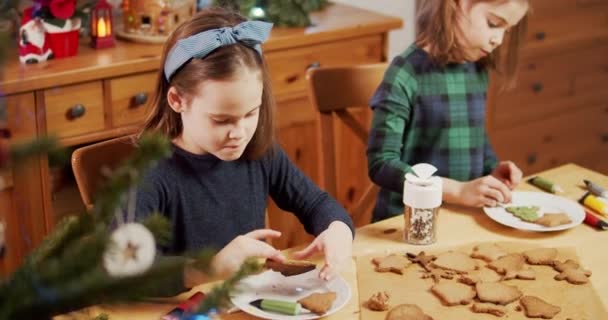 İki tatlı kız kardeş Noel kurabiyesi yapıp süslüyor. — Stok video