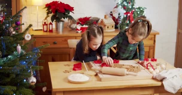 Dwa słodkie siostry zrobić i udekorować Christmas pierniki ciasteczka — Wideo stockowe