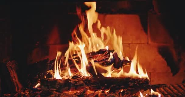 Bonfire burns in the fireplace close-up in slow motion — Stock Video