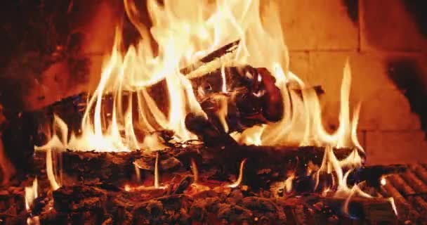 Bonfire горить у каміні крупним планом у повільному русі — стокове відео