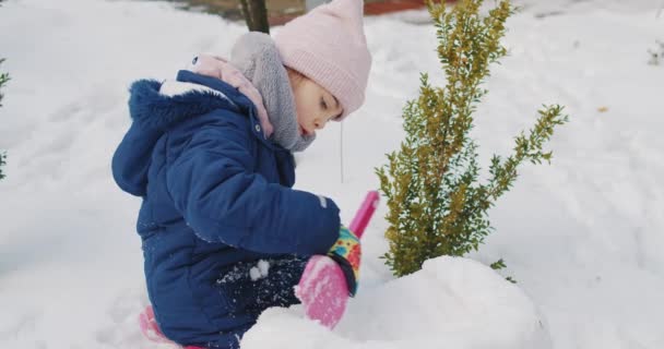Roztomilá dívka staví a hraje ve sněhu v lese — Stock video