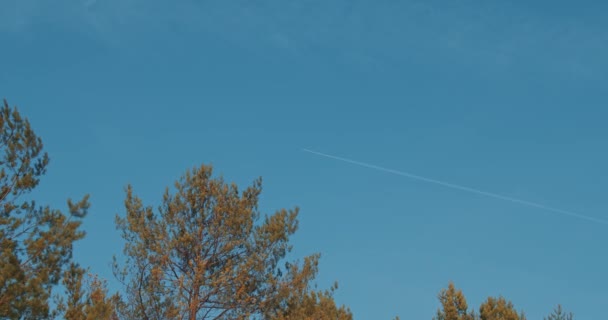 El avión vuela en un cielo azul de invierno — Vídeo de stock