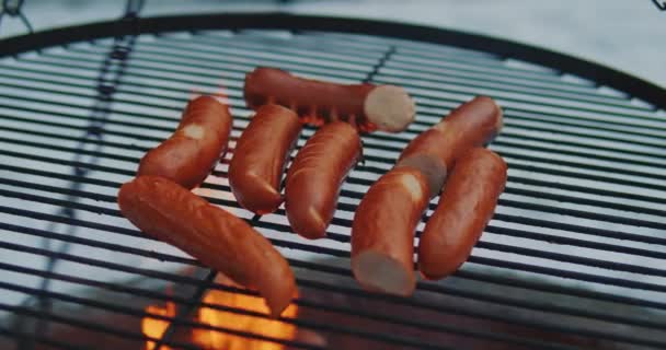 Frying sausages on bonfire in the winter forest — Stock Video