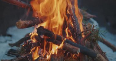 Kış ormanında şenlik ateşi yavaş çekimde