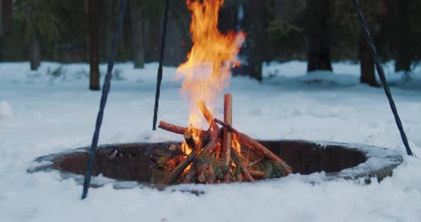 Foc de tabără în pădurea de iarnă în mișcare lentă — Videoclip de stoc