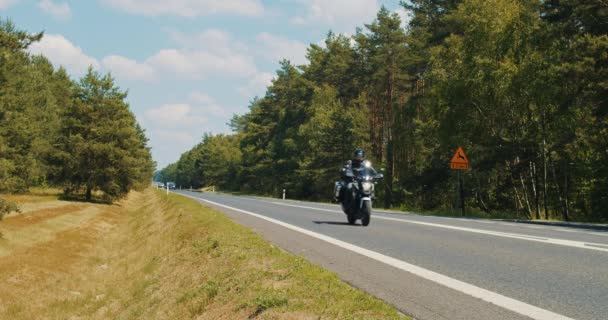 Jalan hutan dan mobil di musim panas dalam gerakan lambat — Stok Video