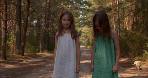 Dos hermosas chicas caminando en el bosque — Vídeos de Stock