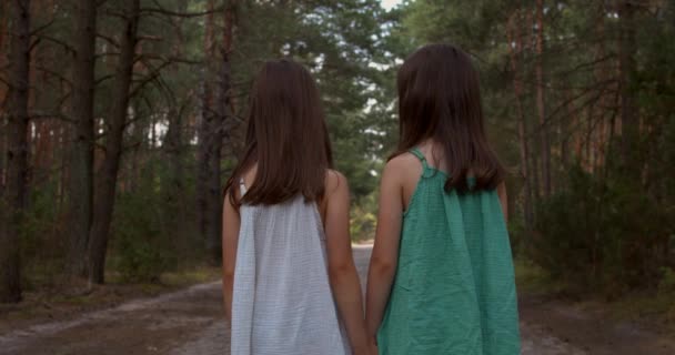 Zwei schöne Mädchen spazieren im Wald — Stockvideo